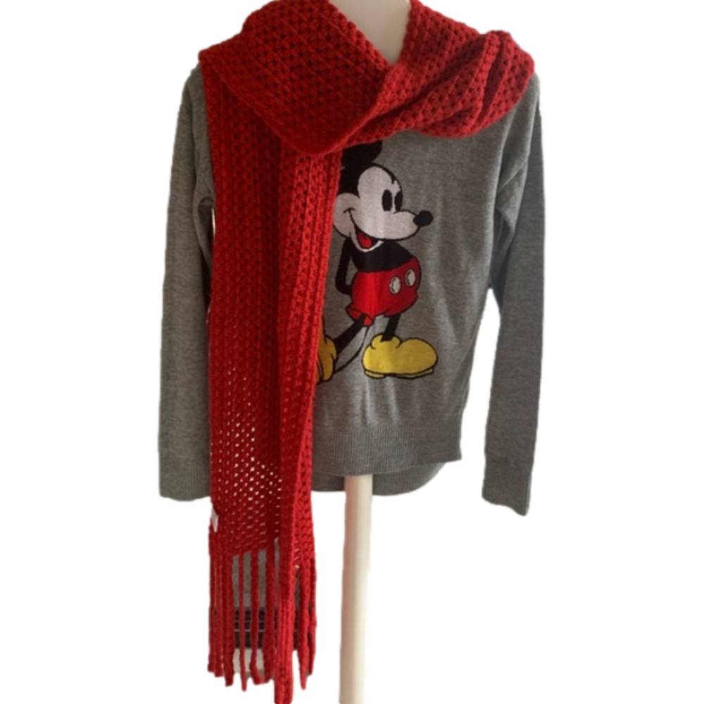 PISTIL Red Knitted Long Scarf